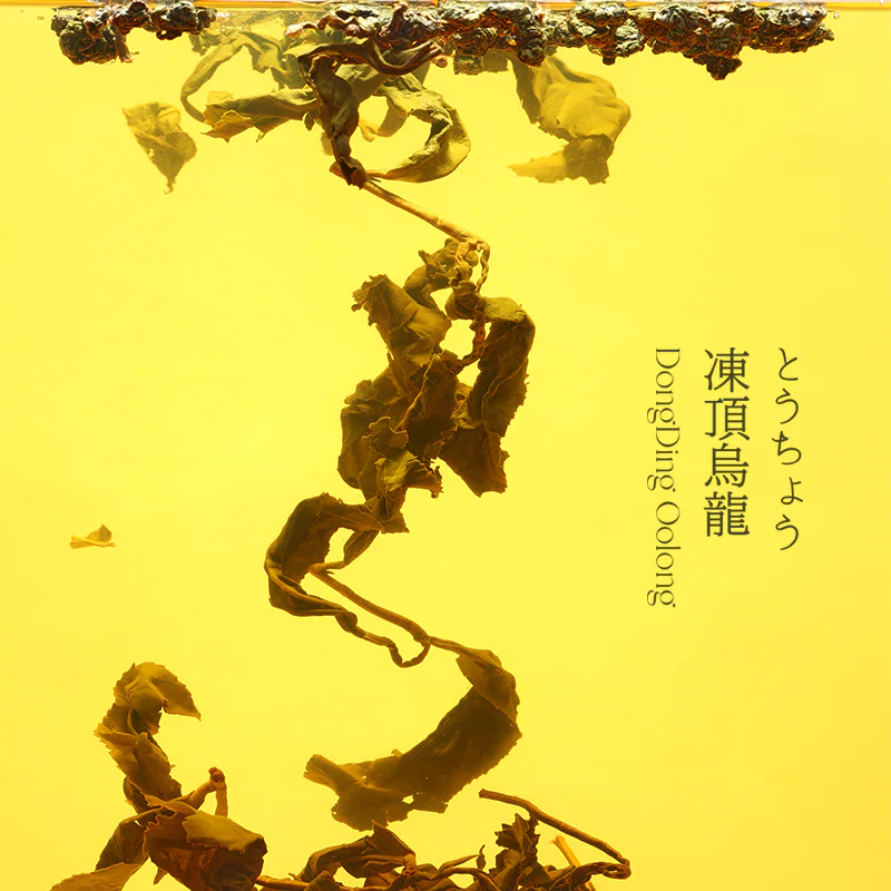 冻顶乌龙茶汤图