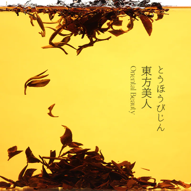 东方美人茶汤图