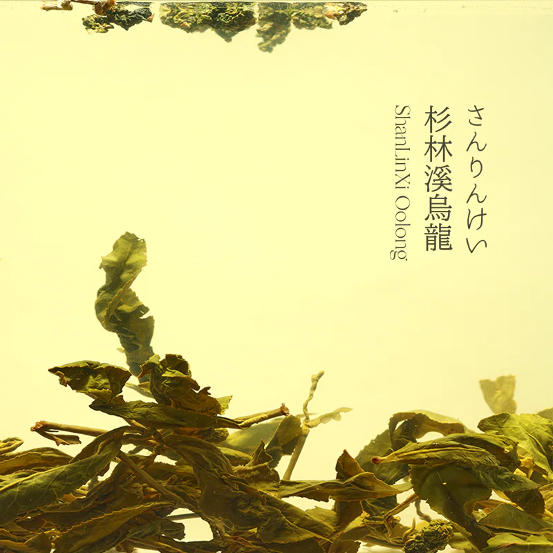 杉林溪乌龙茶茶汤图