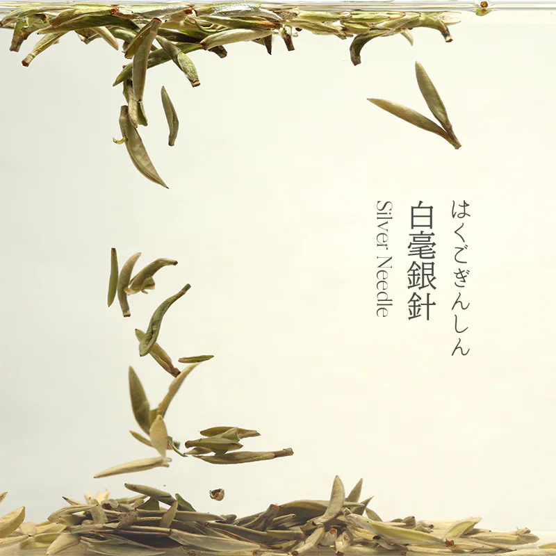 白毫银针茶汤图